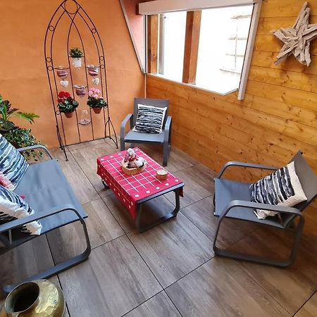 Appartement Duplex Climatise Avec Terrasse "Hansi" Колмар Екстериор снимка