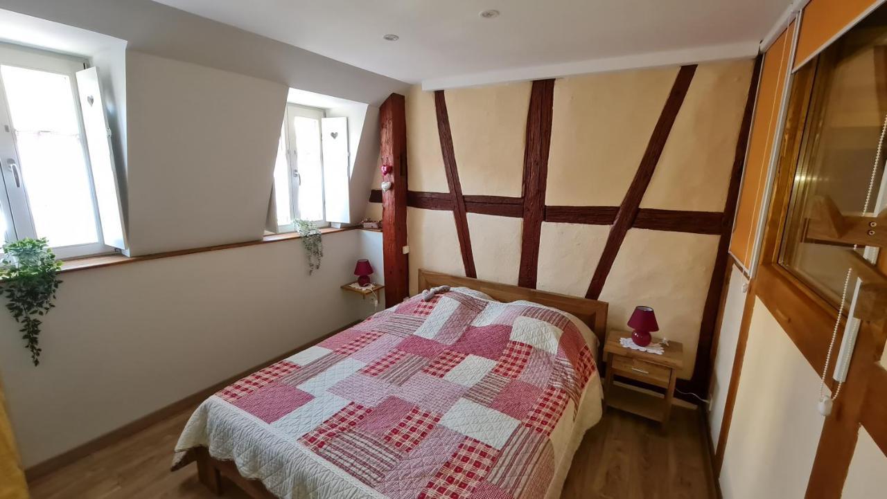 Appartement Duplex Climatise Avec Terrasse "Hansi" Колмар Екстериор снимка