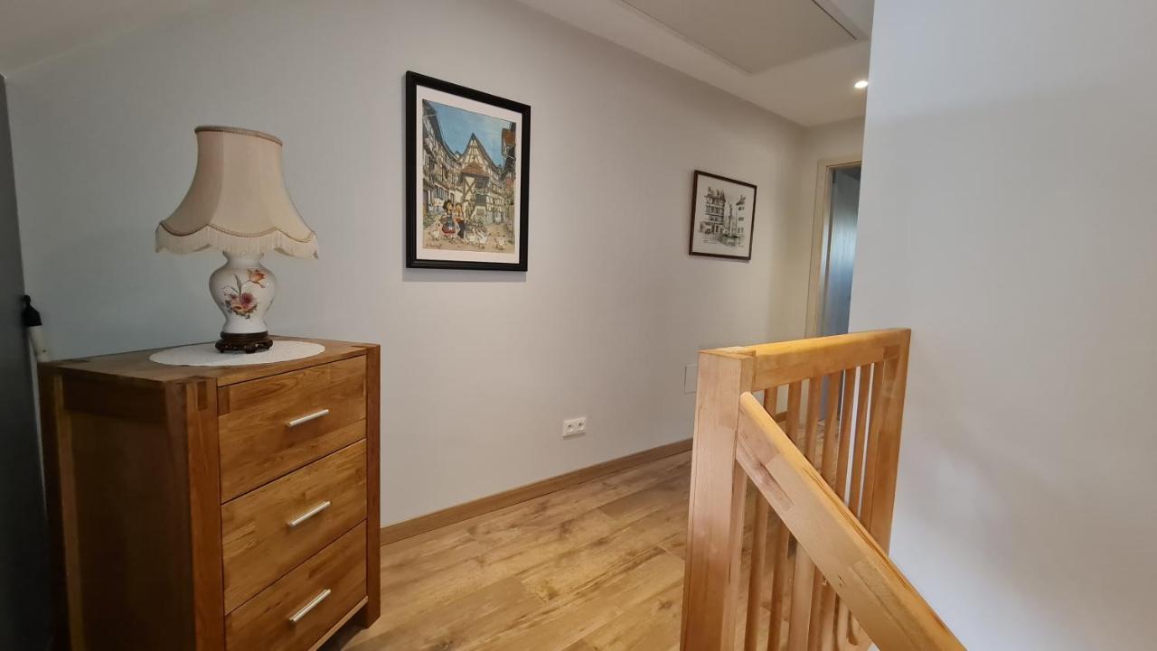 Appartement Duplex Climatise Avec Terrasse "Hansi" Колмар Екстериор снимка