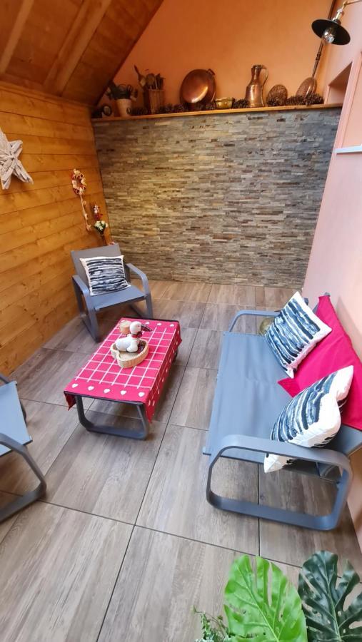 Appartement Duplex Climatise Avec Terrasse "Hansi" Колмар Екстериор снимка